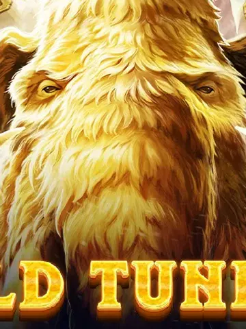 Wild Tundra